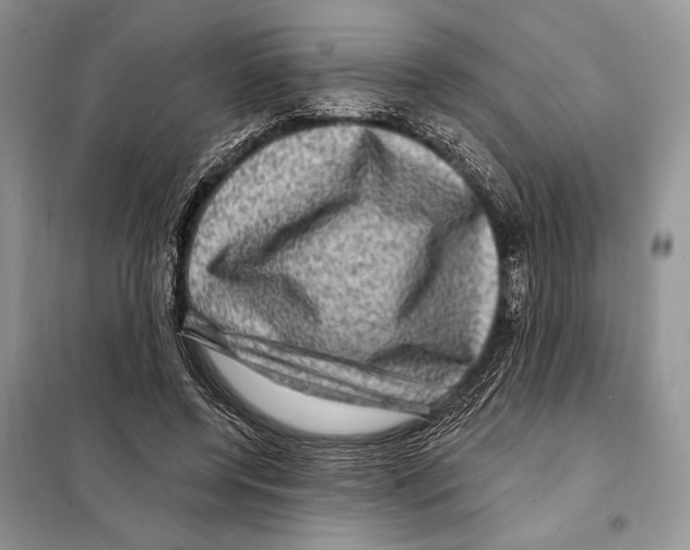 X0000098070544200805021000