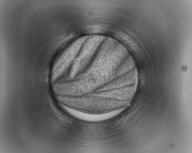 X0000098070546200805021000