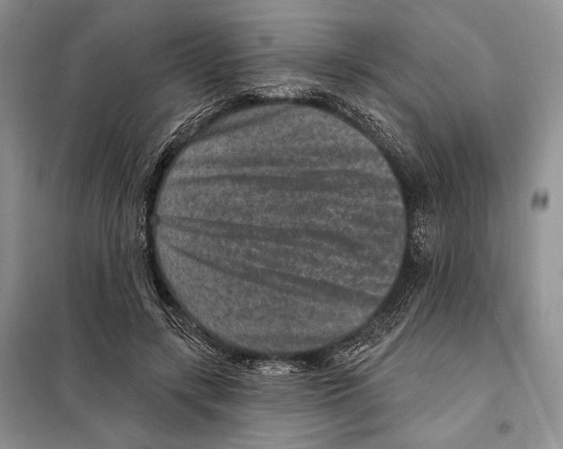 X0000098070547200805021000