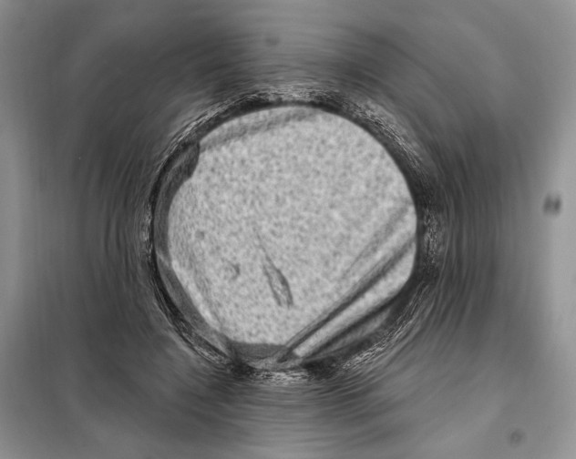 X0000098070548200805021000