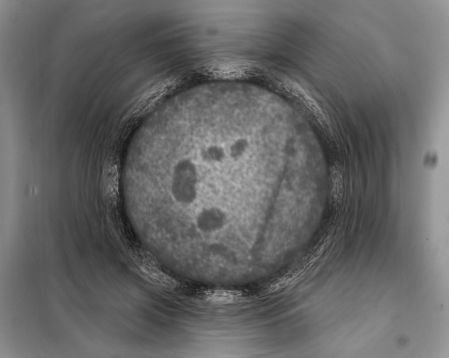 X0000098070549200805021000