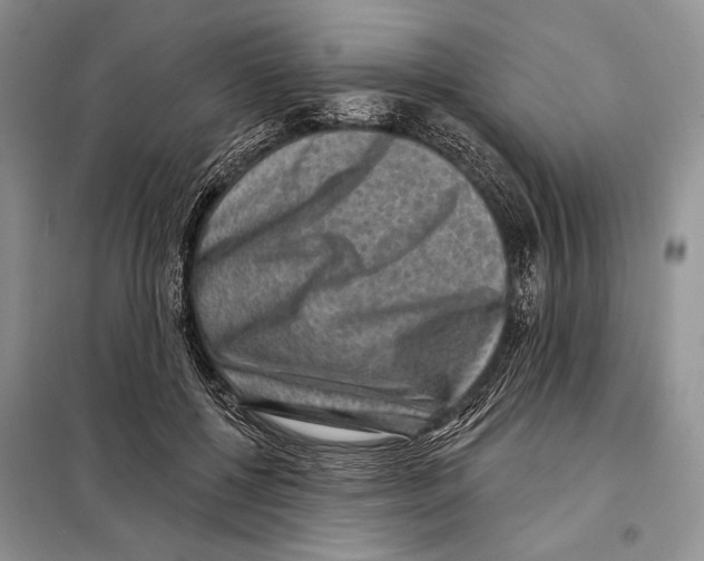 X0000098070552200805021000