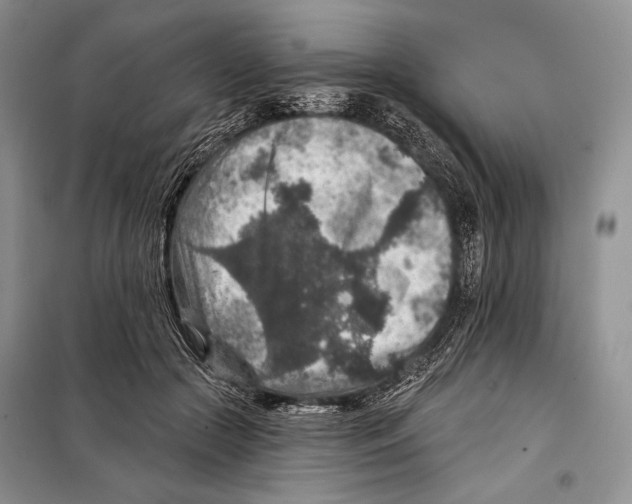 X0000098070553200805021000