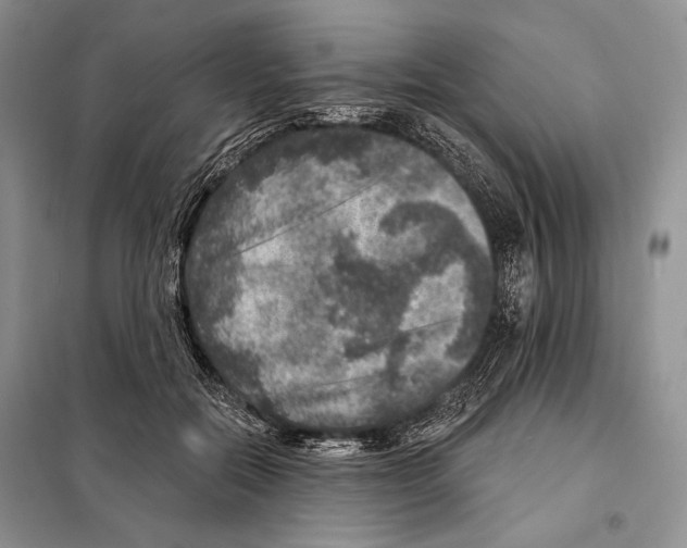 X0000098070554200805021000