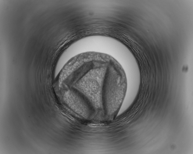 X0000098070556200805021000