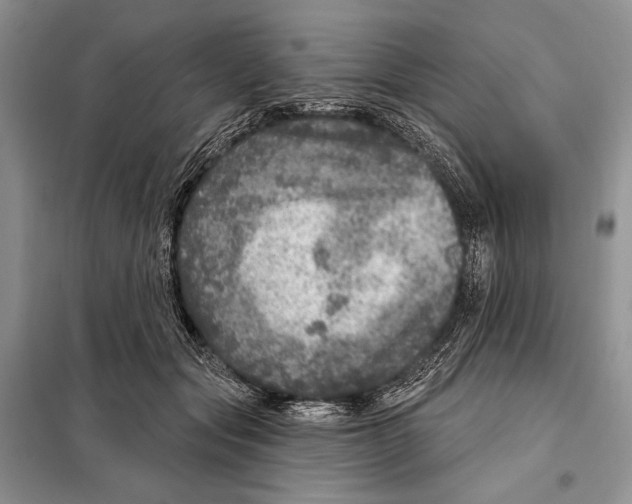 X0000098070557200805021000