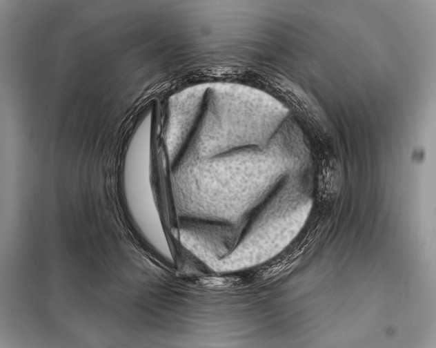 X0000098070558200805021000