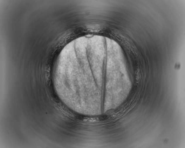 X0000098070559200805021000