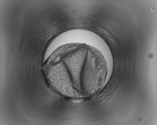 X0000098070560200805021000