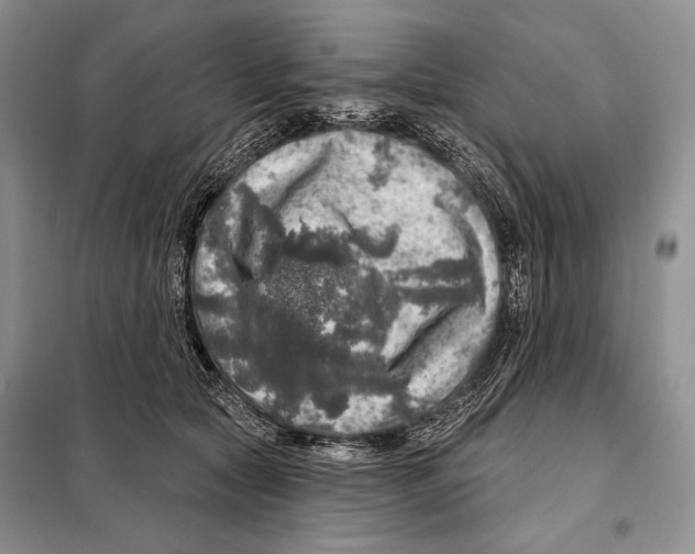 X0000098070561200805021000