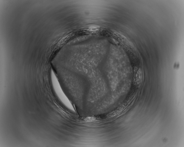 X0000098070562200805021000