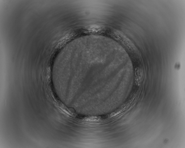 X0000098070563200805021000