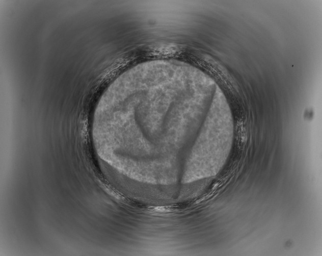 X0000098070564200805021000