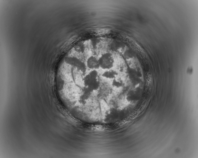 X0000098070565200805021000