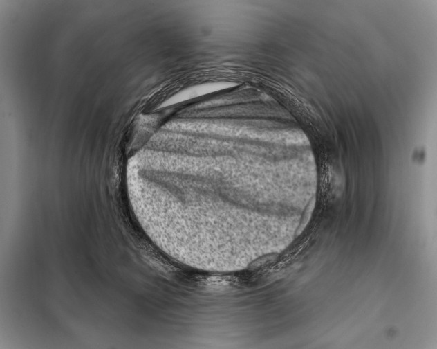 X0000098070566200805021000