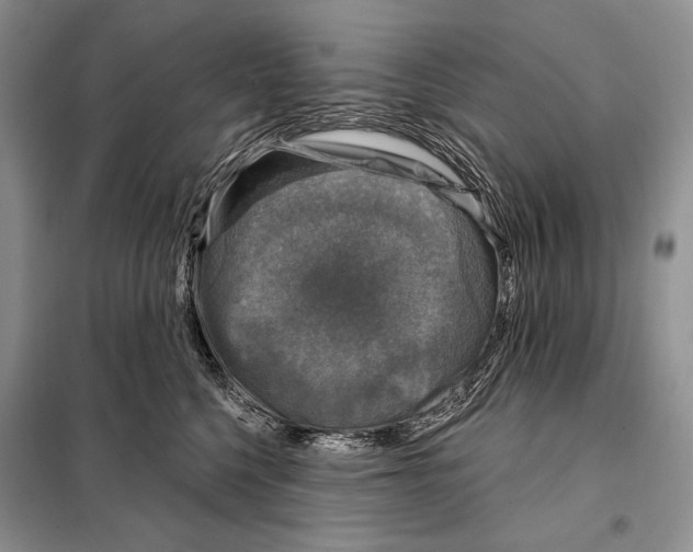 X0000098070568200805021000