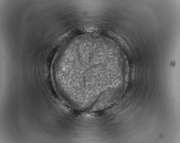 X0000098070569200805021000