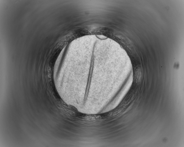 X0000098070571200805021000