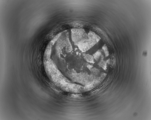 X0000098070573200805021001