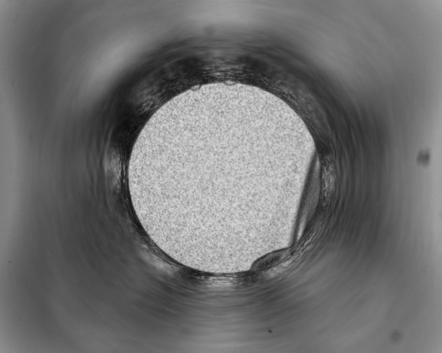 X0000098070574200805021001