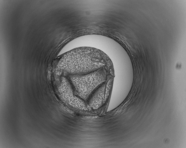 X0000098070576200805021001