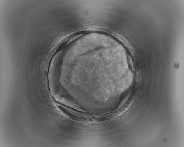 X0000098070577200805021000