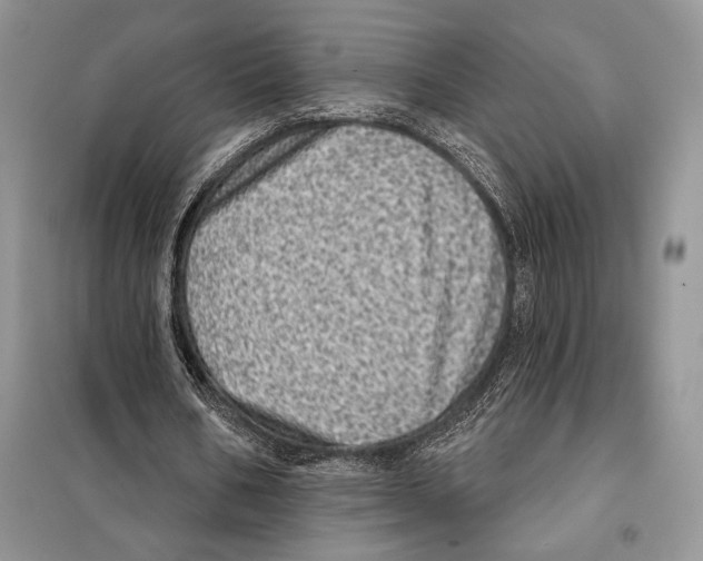 X0000098070578200805021000