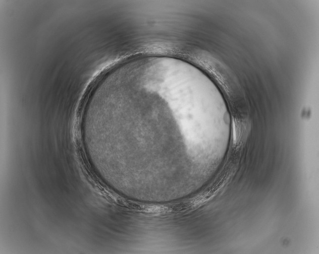 X0000098070579200805021000