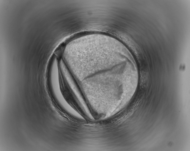 X0000098070580200805021000