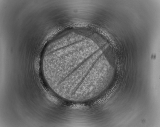 X0000098070586200805021000