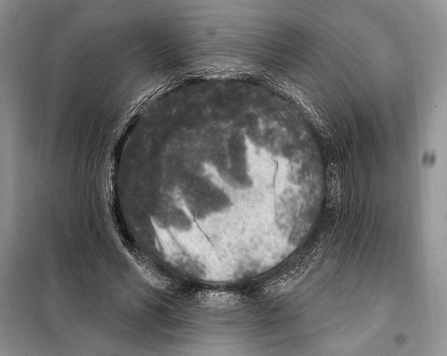 X0000098070590200805021000