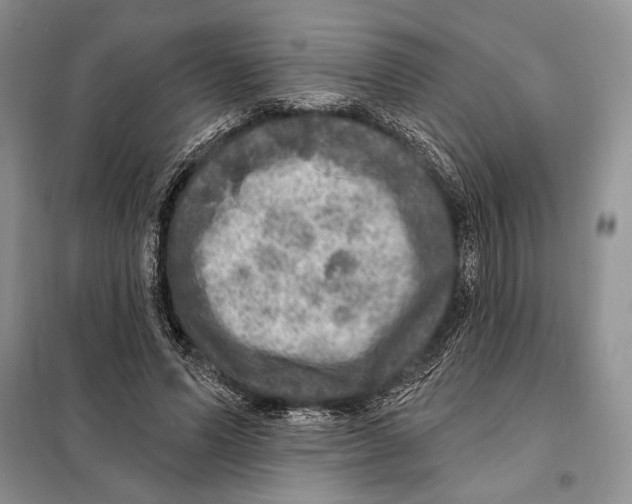 X0000098070591200805021000