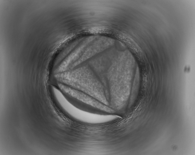 X0000098070592200805020959