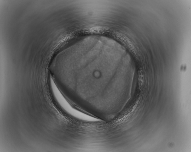 X0000098070593200805020959