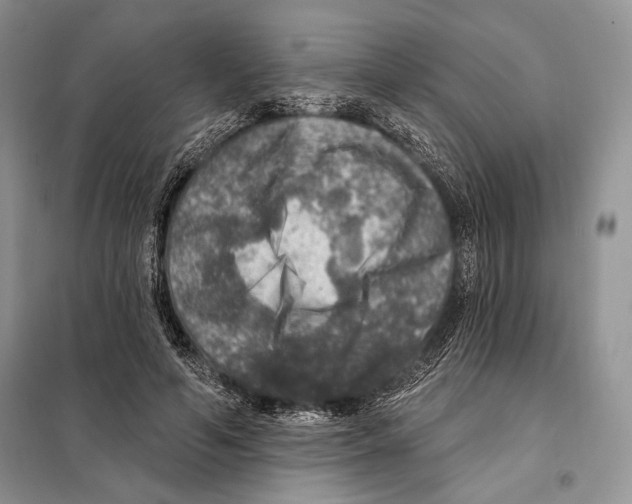 X0000098070594200805020959