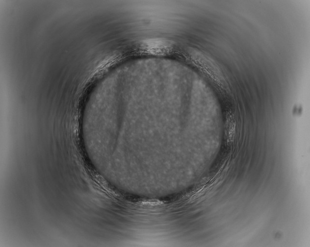 X0000098070595200805020959