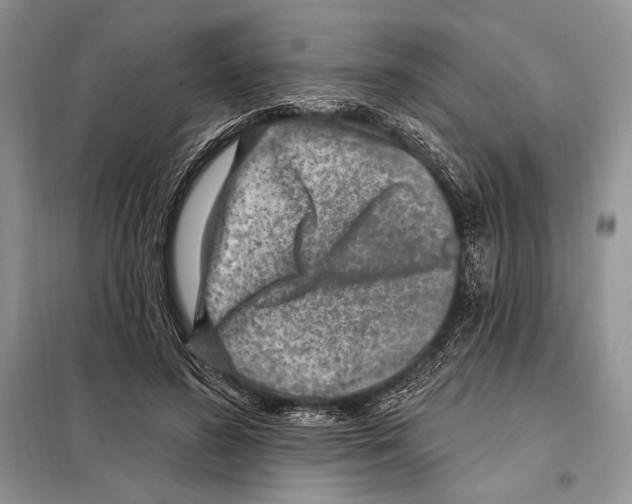 X0000098070596200805020959