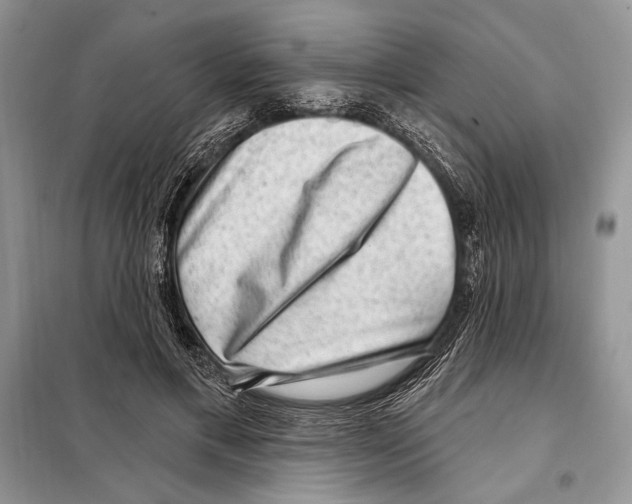 X0000098070597200805020959