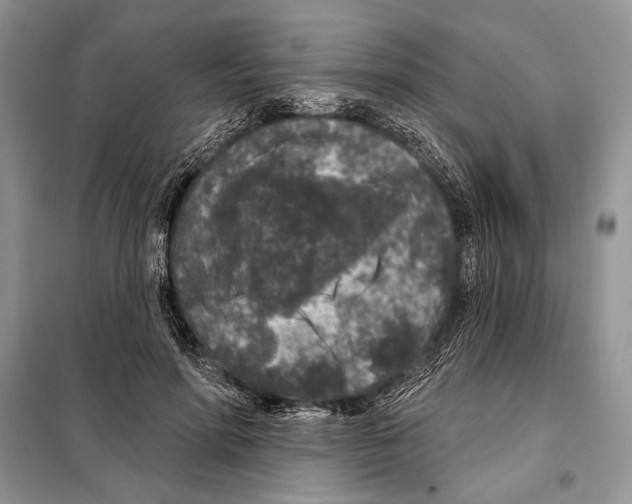 X0000098070598200805020959