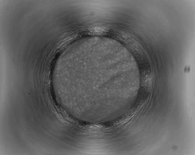 X0000098070599200805020959