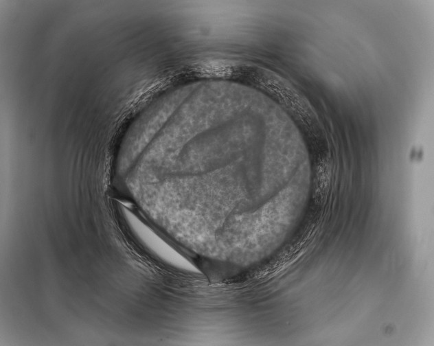 X0000098070600200805020959