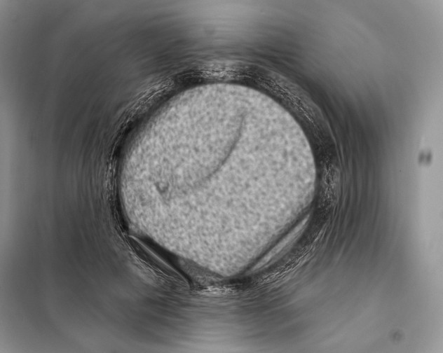 X0000098070601200805020959