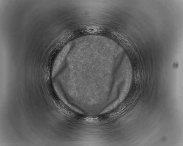 X0000098070606200805020959