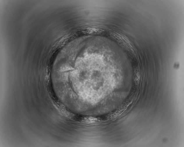 X0000098070607200805020959