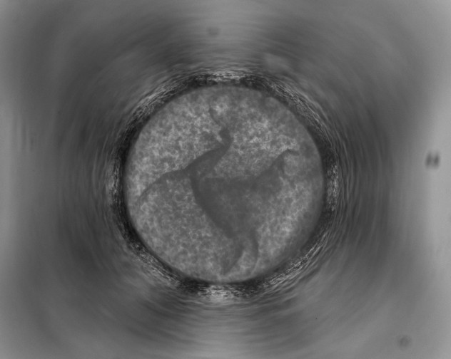 X0000098070608200805020959