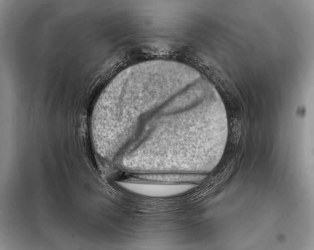 X0000098070612200805020959