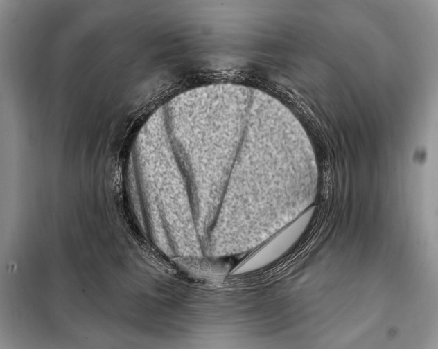 X0000098070613200805020959