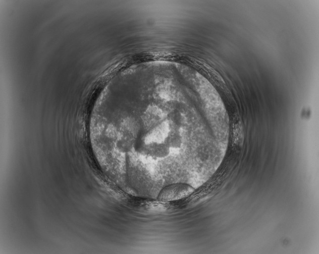 X0000098070618200805020959