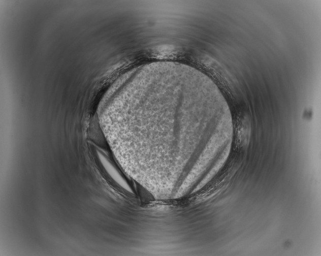 X0000098070620200805020959