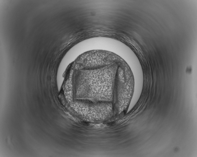 X0000098070621200805020959